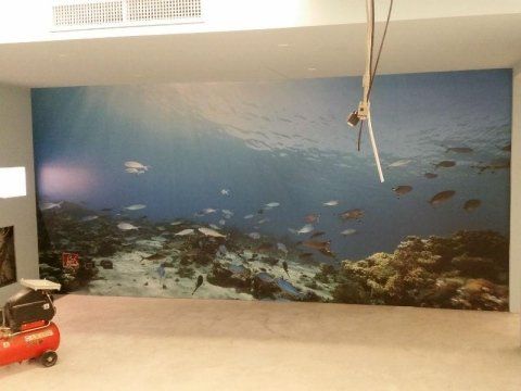 parete interna con decorazione a tema marino