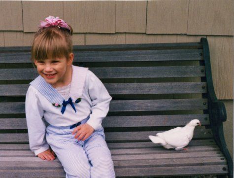 dove on bench