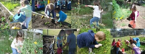 Pre Planting Activity — Child learning center in Loomis, CA
