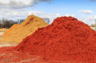 Red Mulch and Wood Chip Mound Mulch service in Baytown, TX Red Mulch and Wood Chip Mound Mulch service in Baytown, TX