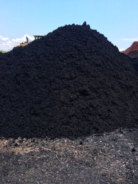 Black Mulch Mound Black Mulch Mound