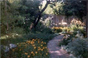 Cozy shaded cottage garden. Cozy shaded cottage garden.