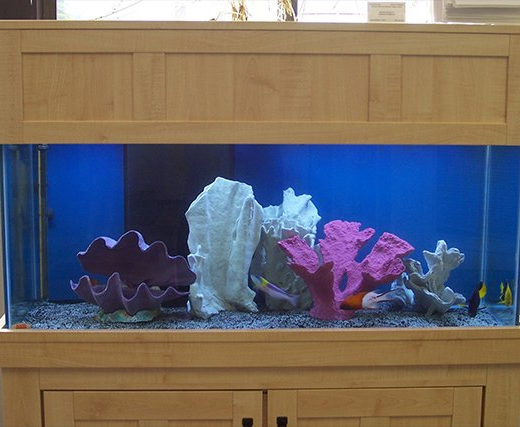 aquarium design