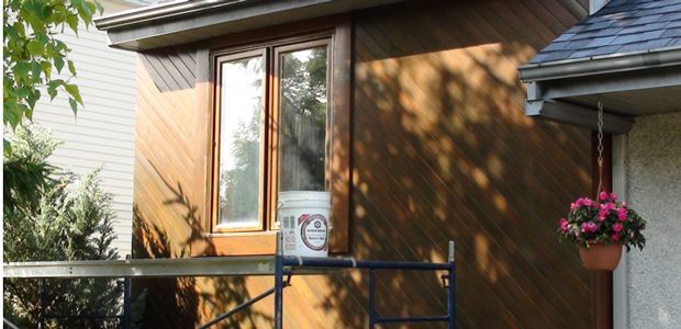 home with brown siding and window