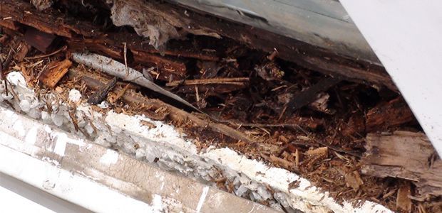 damaged rotten wood
