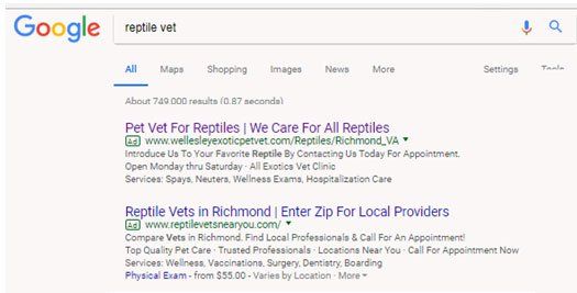 picture of google search results