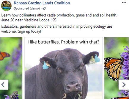 Facebook Ads and Photography