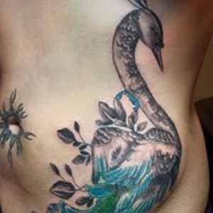 peacock tattoo