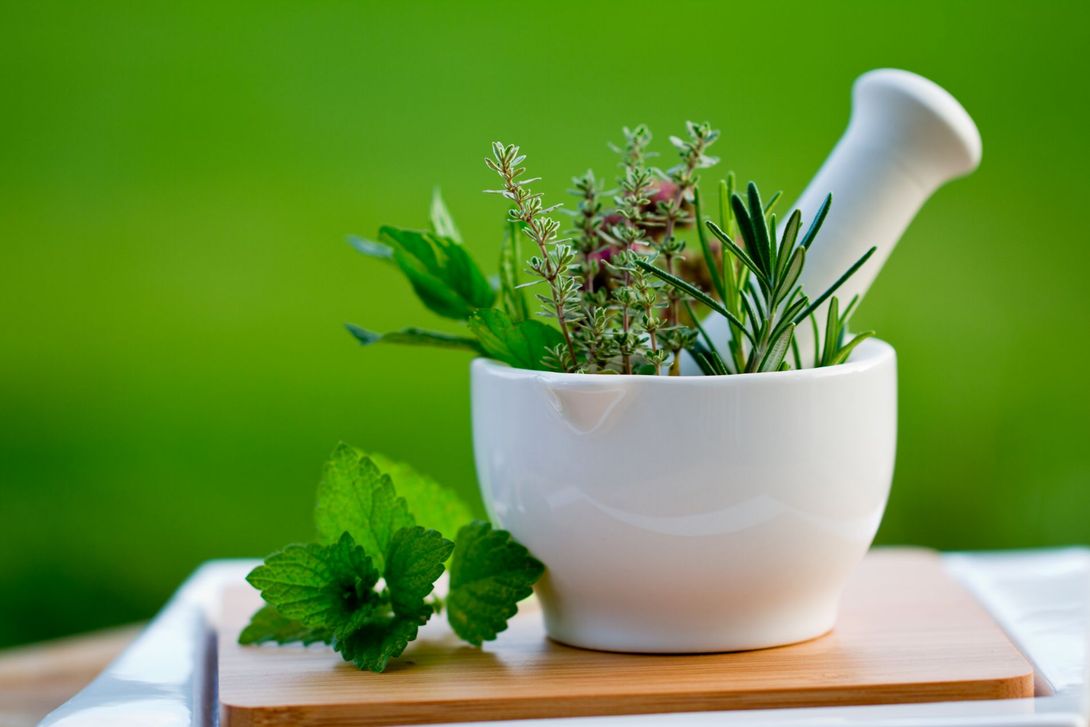 Erbe aromatiche per infusi naturali