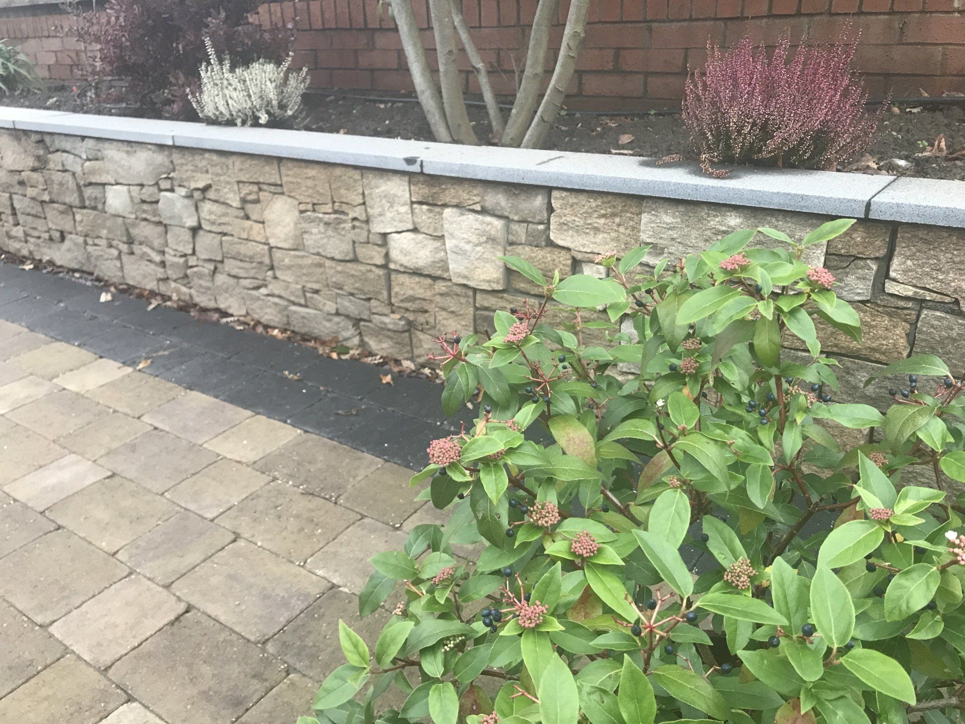 Walled garden and stoned patio