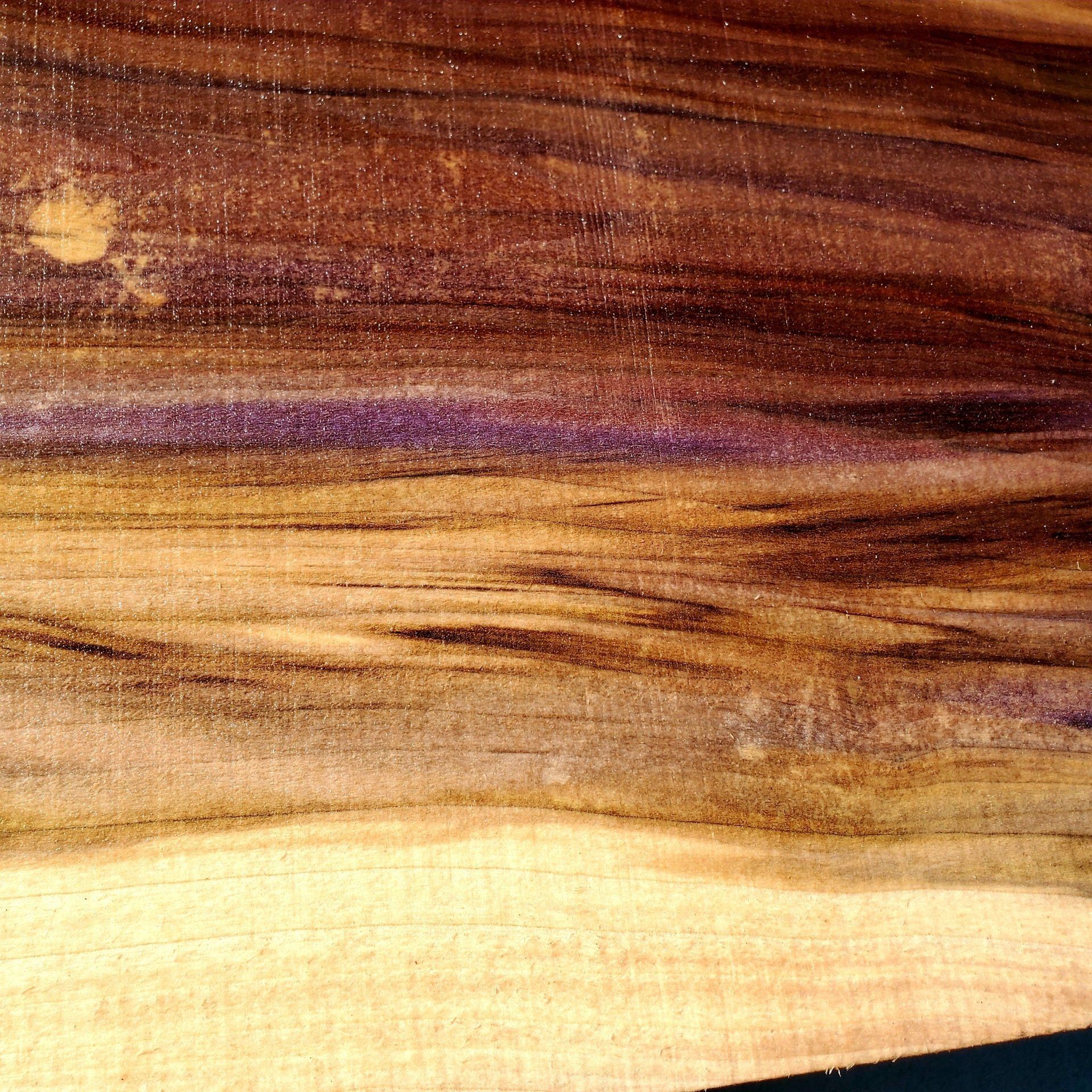 Rainbow Poplar