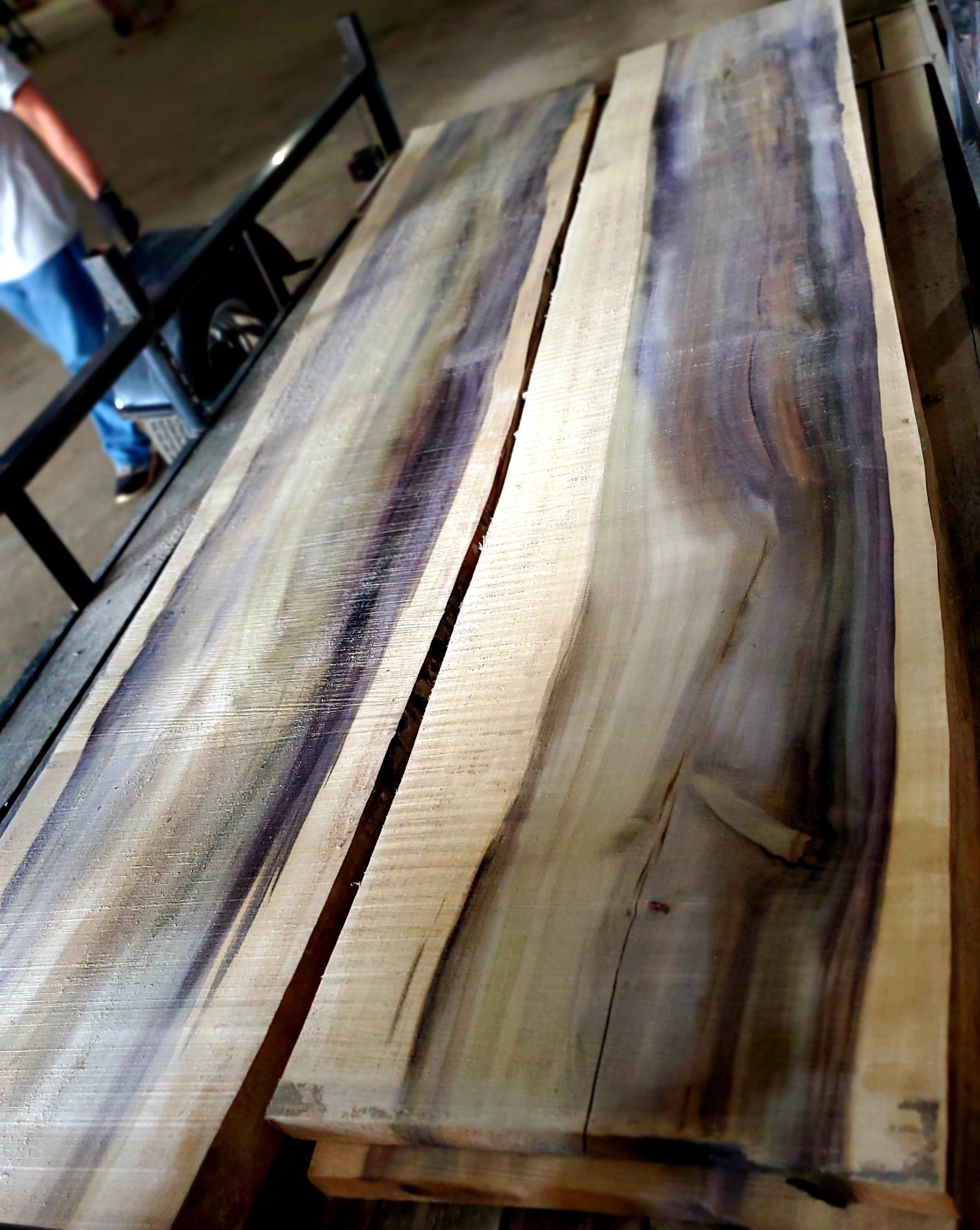 Rainbow Poplar