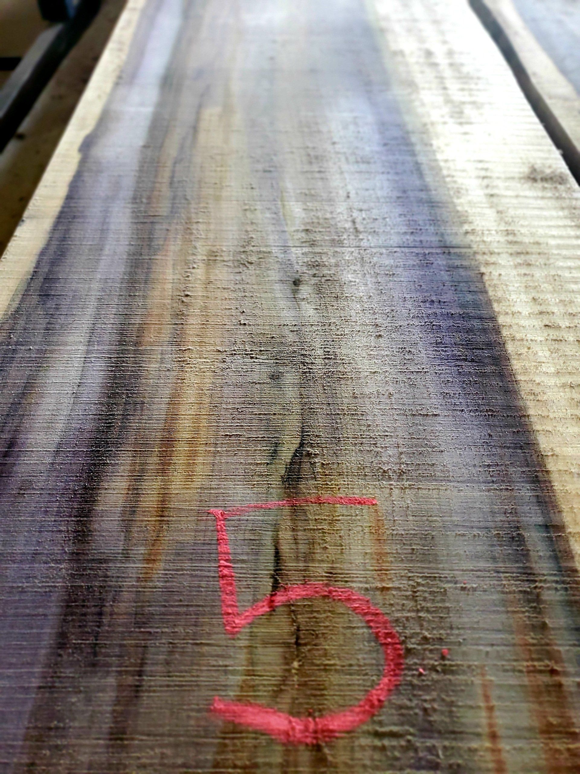 Rainbow Poplar