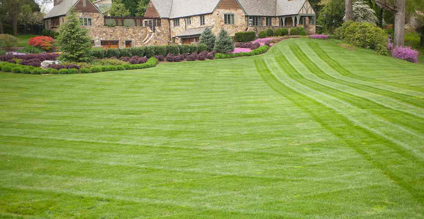  Empty Backyard — Lumberton, NC — Realty One Group Heritage