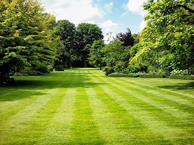  Empty Land with Trees — Lumberton, NC — Realty One Group Heritage