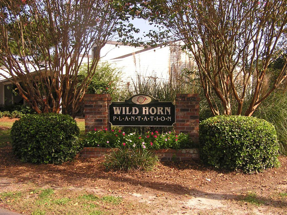 Wildhorse