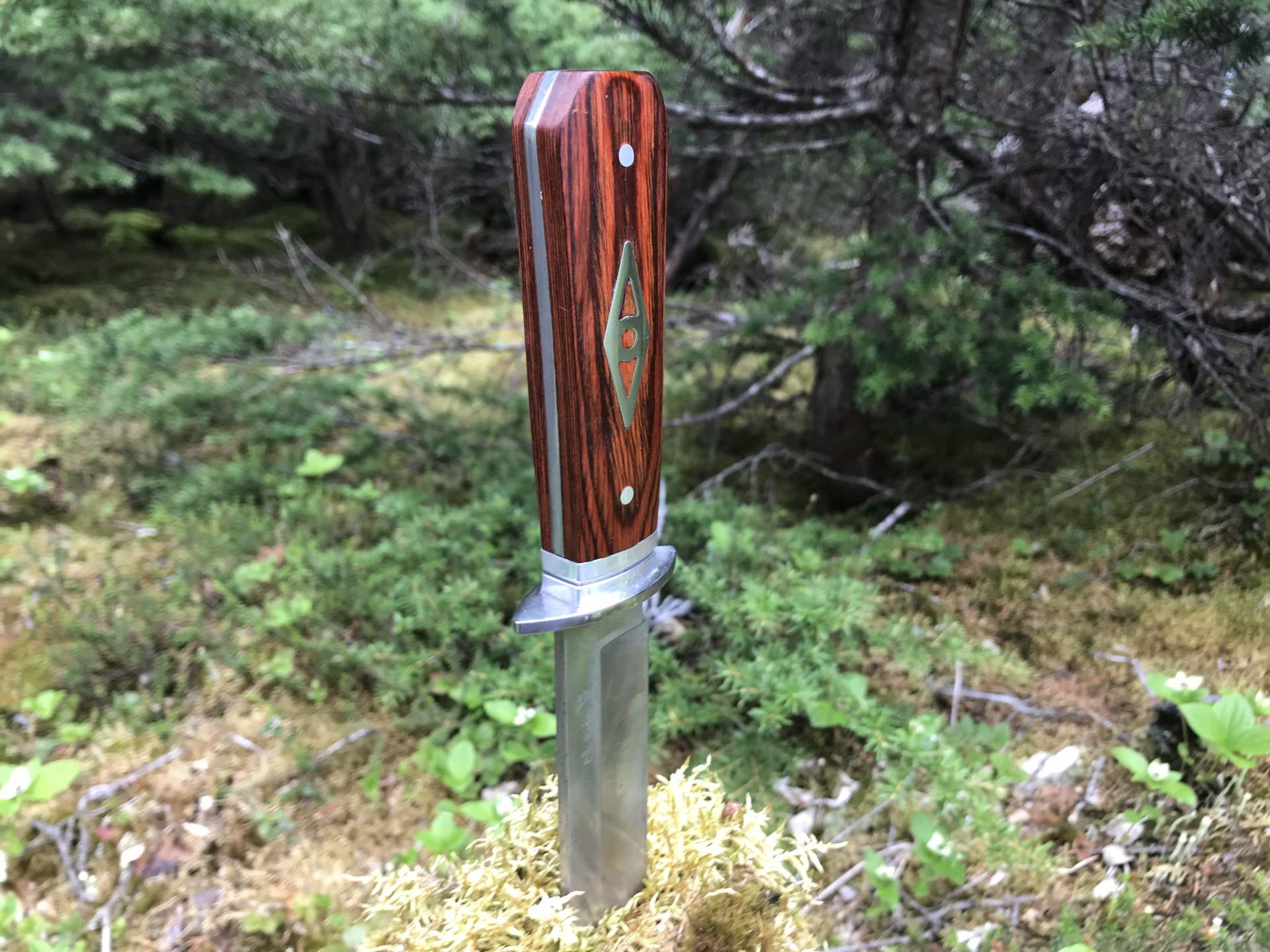 Wooden-handled knife stuck in a tree stump in a forest clearing