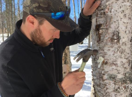 Man in black jacket and cap uses a hammer near a birch tree outdoors in snow