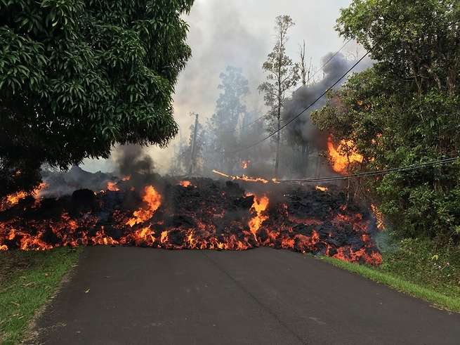 Raging wildfire blocks a road, with flames and smoke spreading across trees and asphalt.
