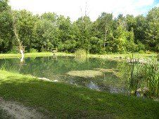 Backyard Pond, Excavation Service in Chesterton, IN Backyard Pond, Excavation Service in Chesterton, IN
