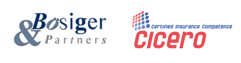 logo bösiger & partners et de cicero