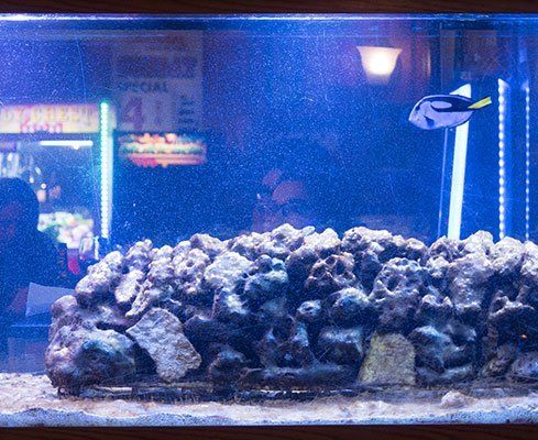 aquarium
