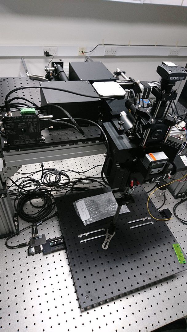 Dual System