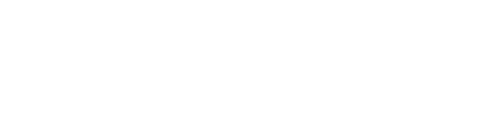 Web Set Go Logo