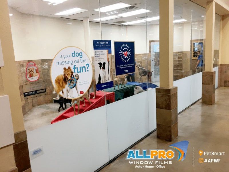 commercial building window tinting near me