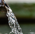 Water pouring from a dark faucet with blurred green background.