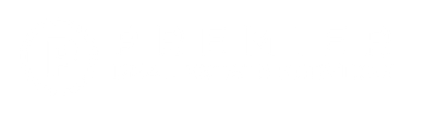 Premier Real Estate Services Logo