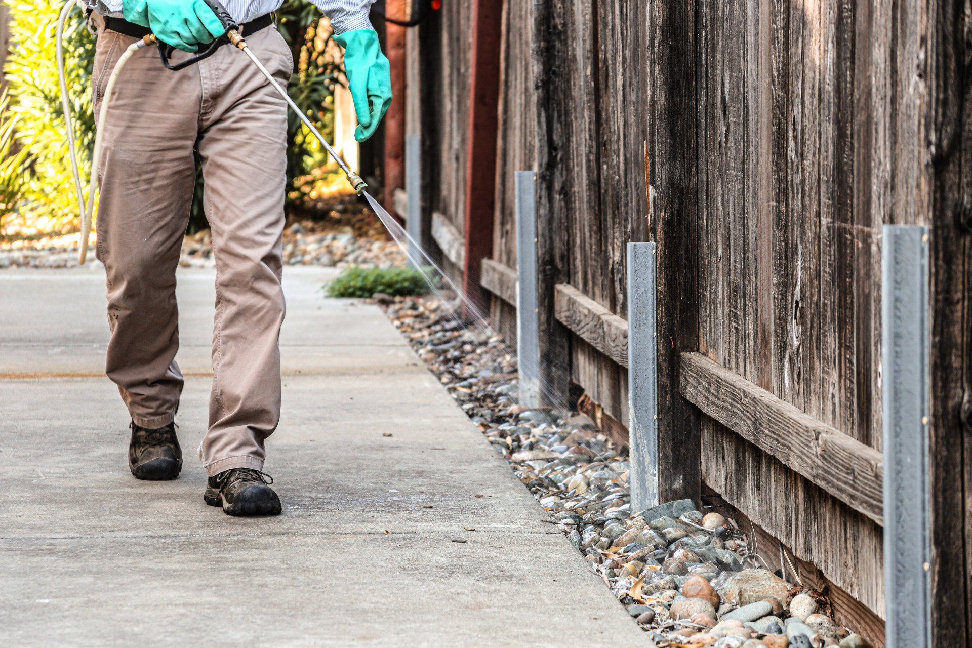 commercial pest control san diego