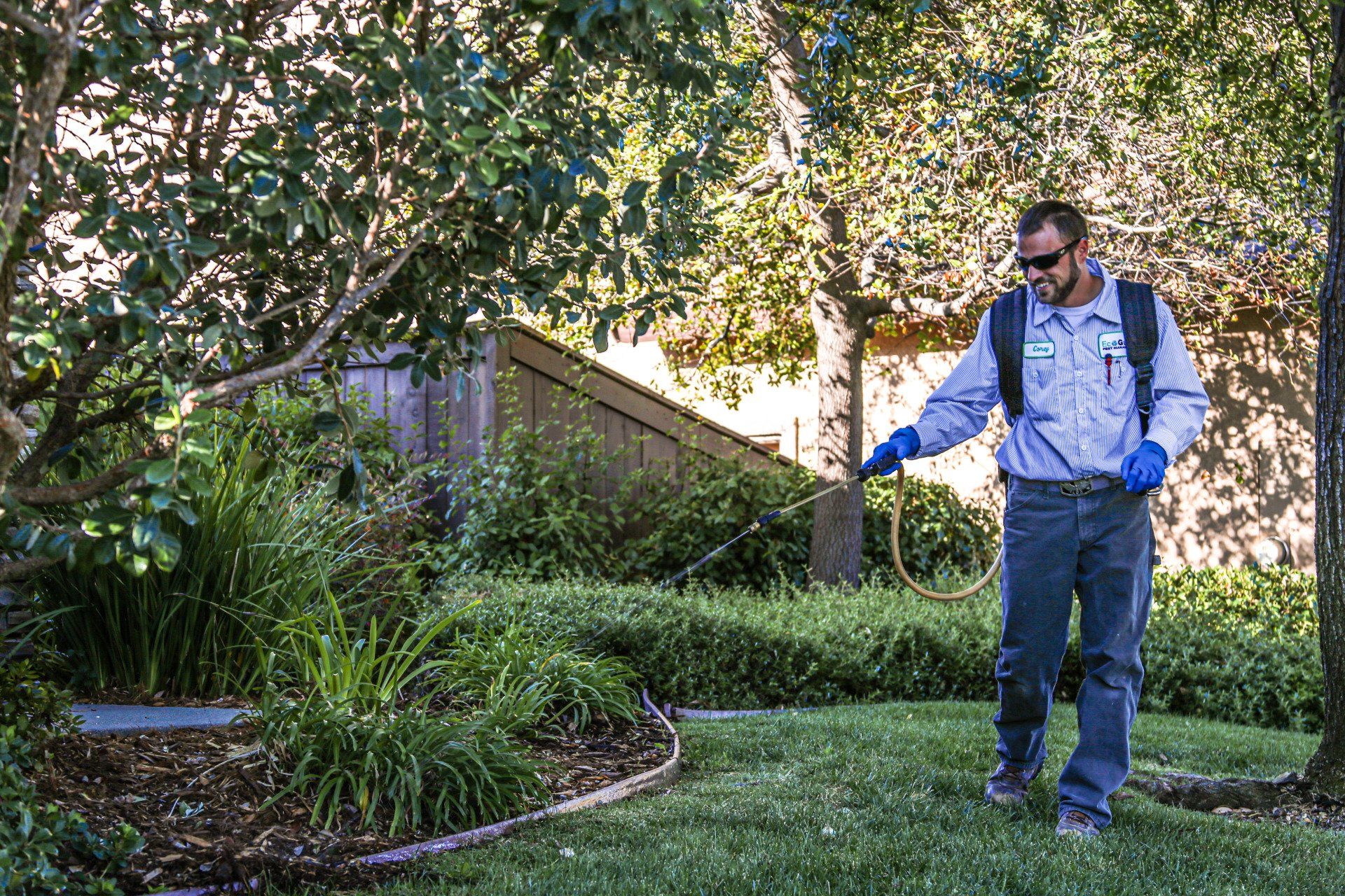 yard pest control san diego