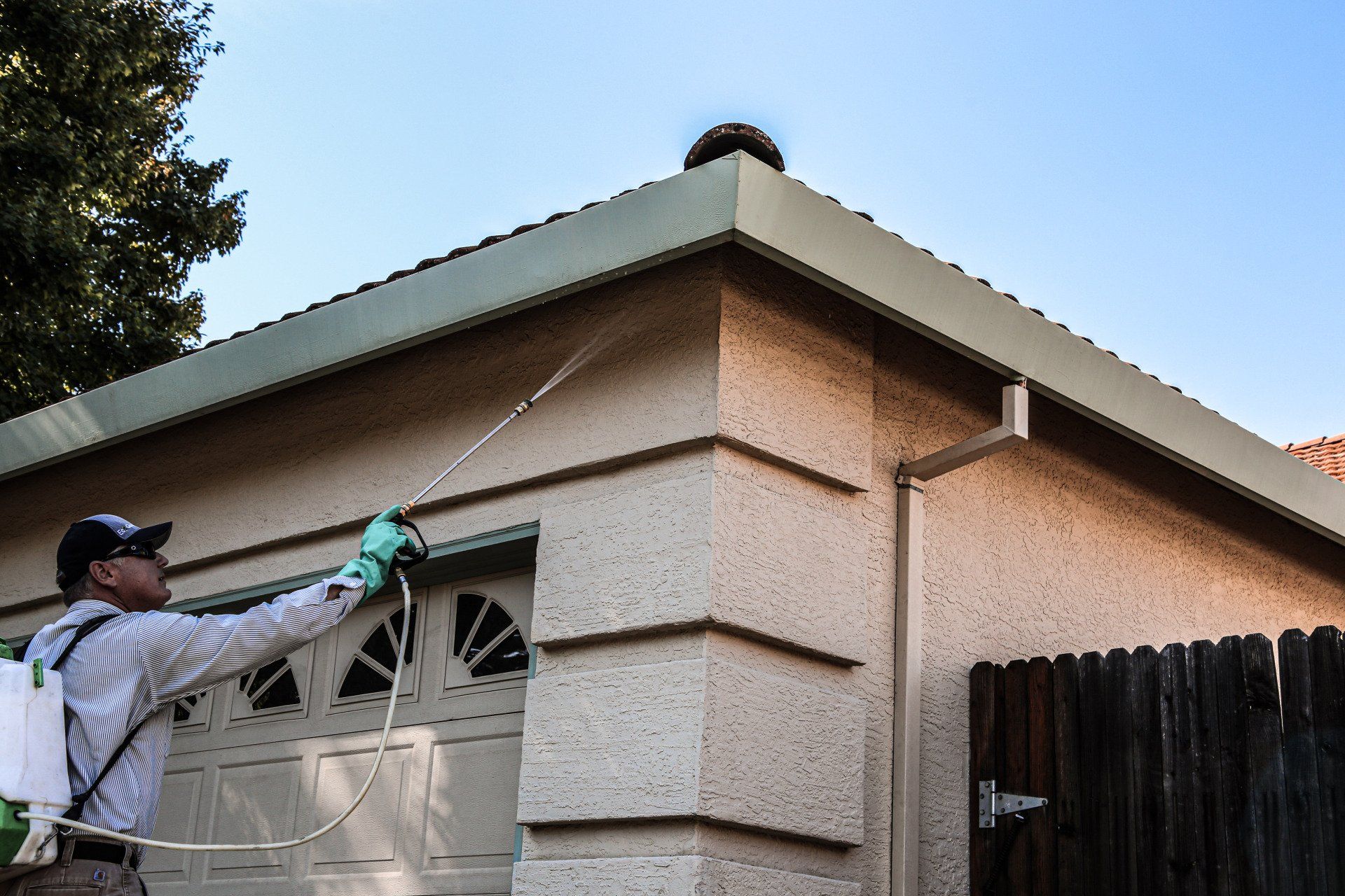 house pest control san diego