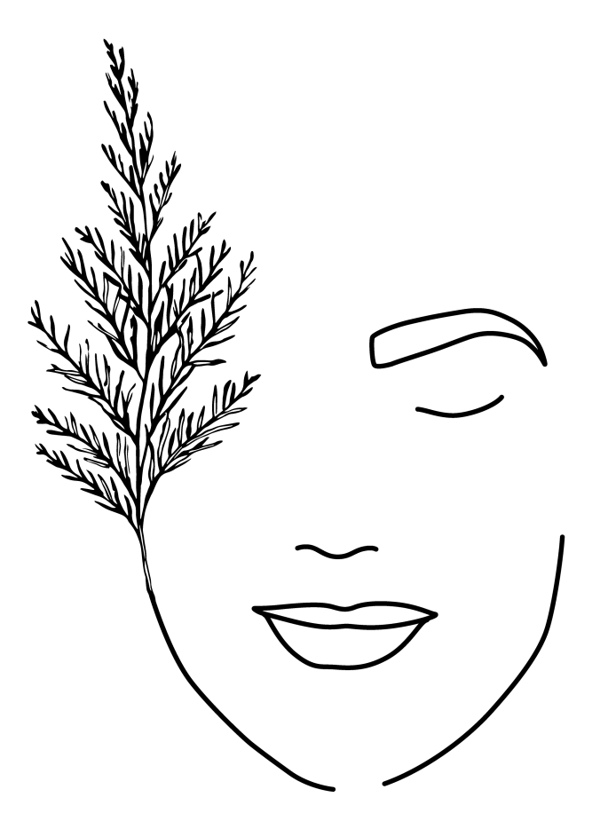 Logo Ceder Baars Zwart