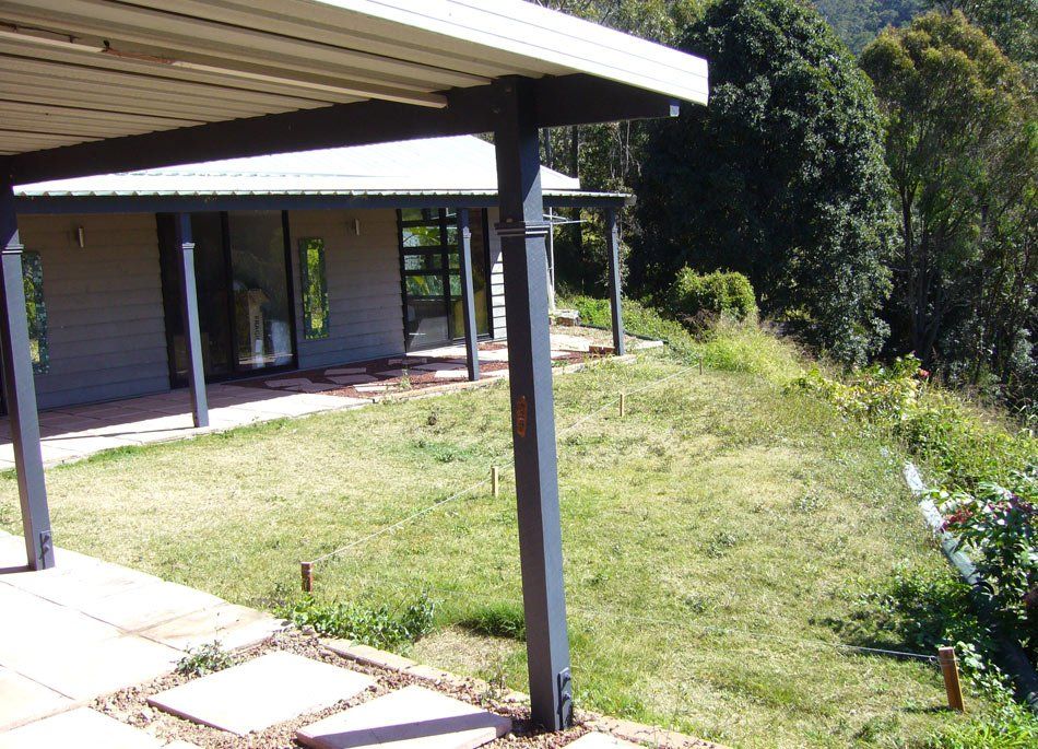 grass backyard