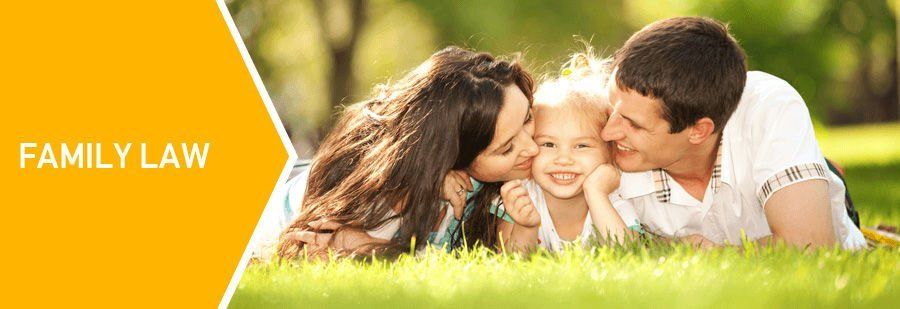 Family law young family