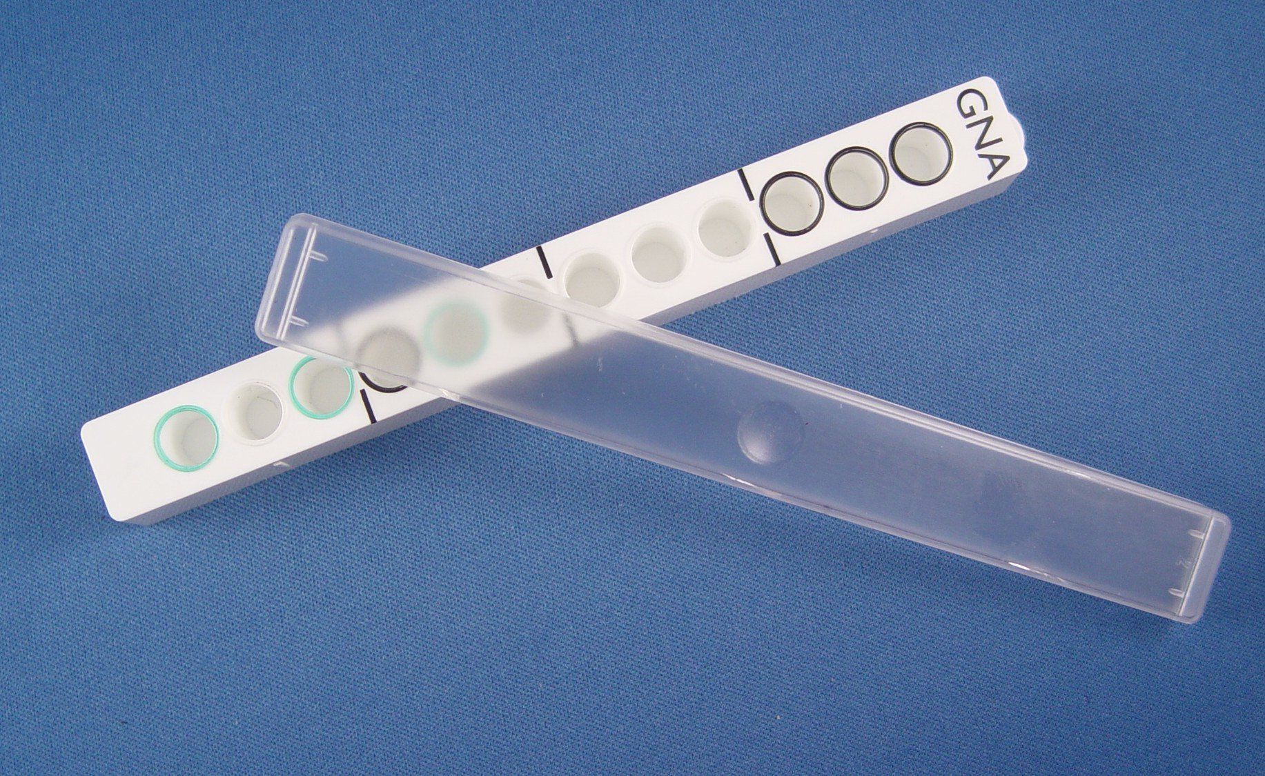 Two pieces of plastic with the word boo on them