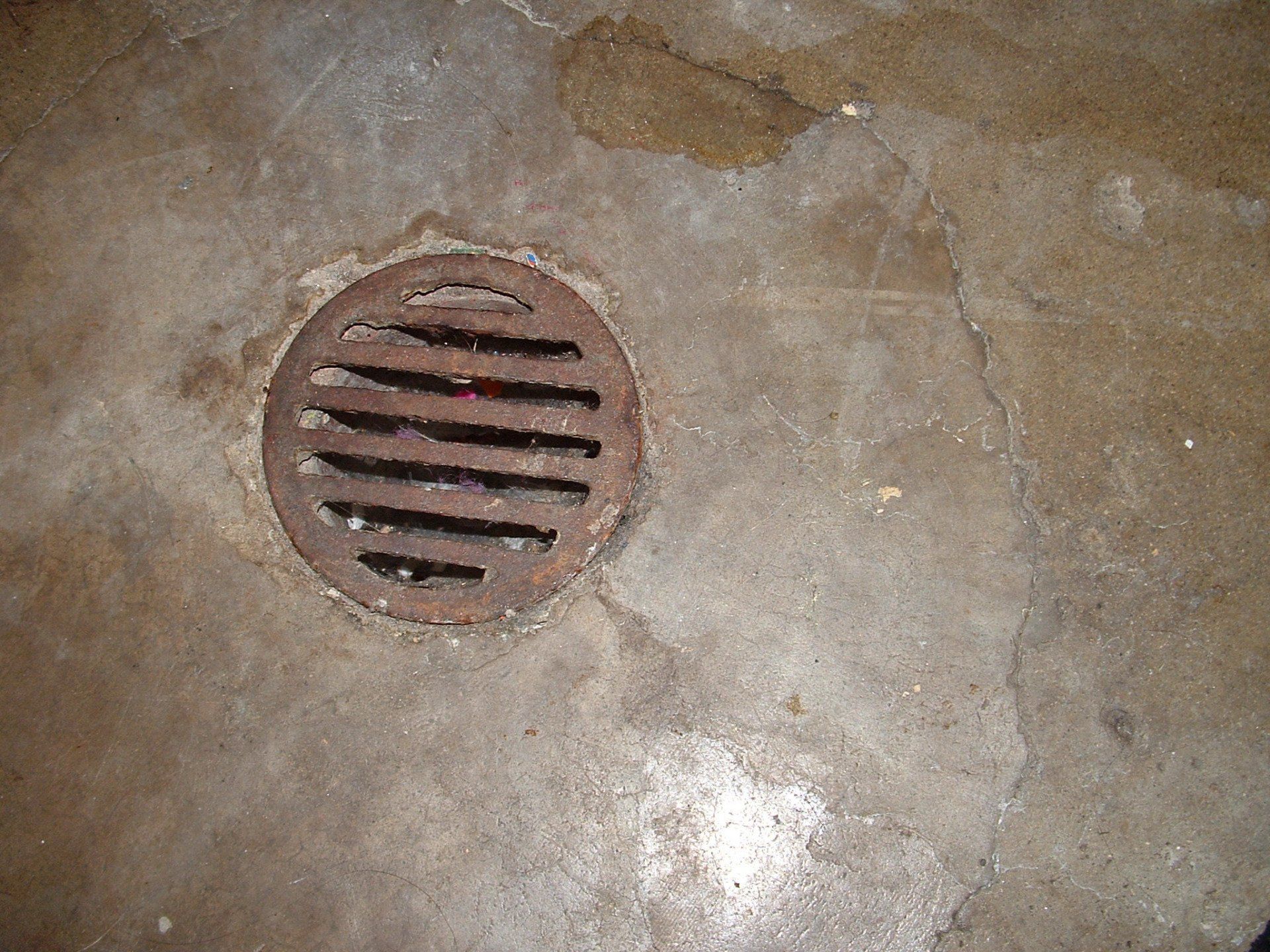 Drain Sewer is backing up