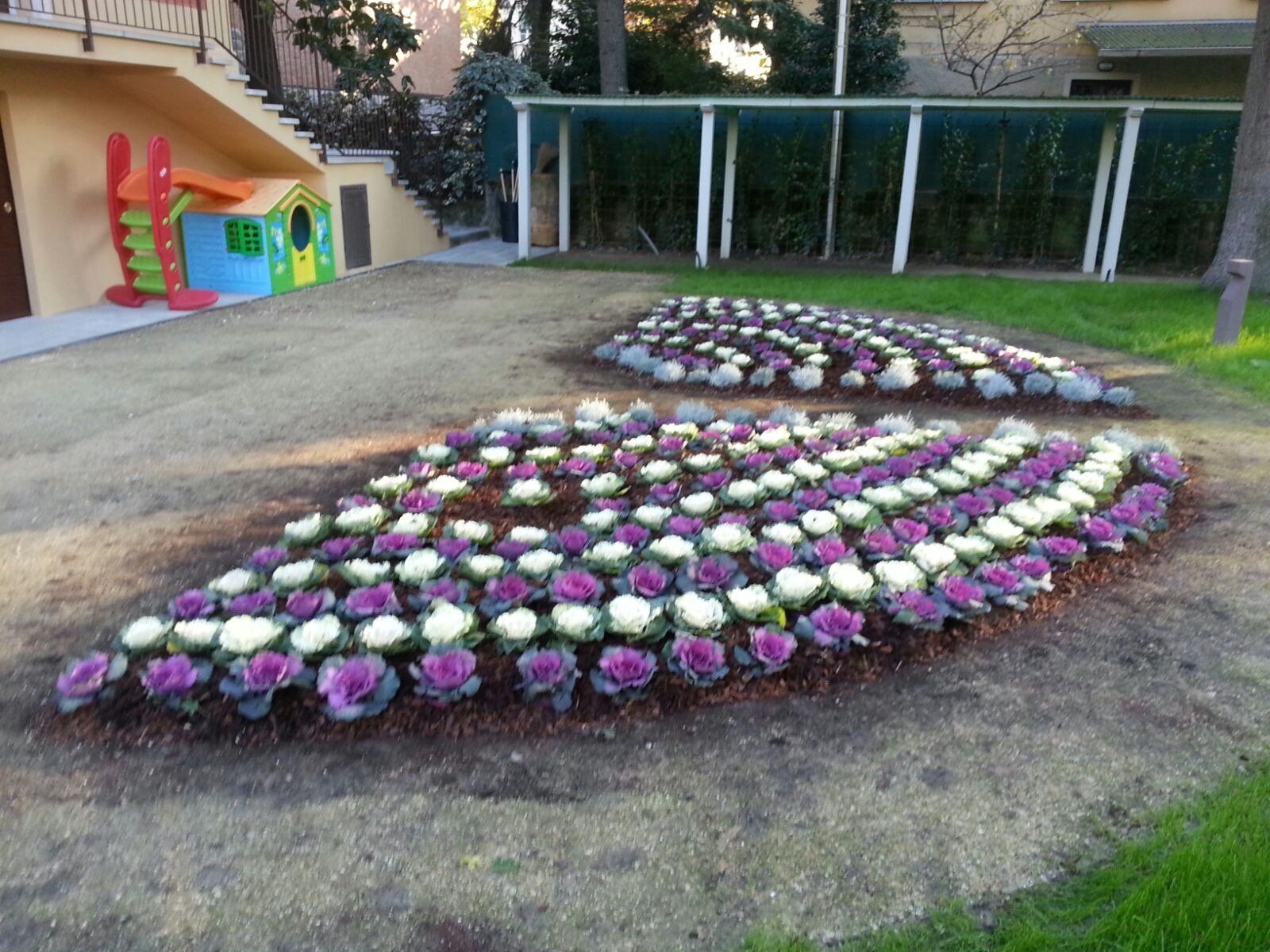 cortile con fiori