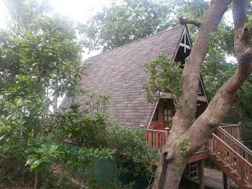 Wooden House Exterior — Powells Point, NC — Coastal Roofing & Siding Inc