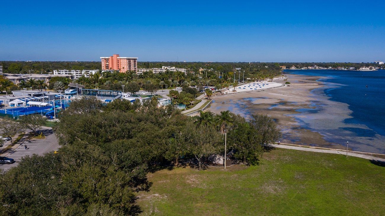 Seashore at St. Pete