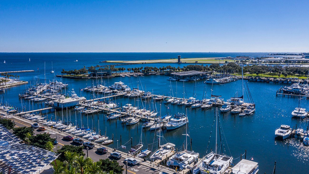 Vantage St. Pete City View