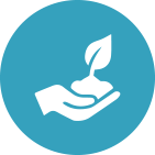 White hand holding soil with a sprouting plant, on a blue background.