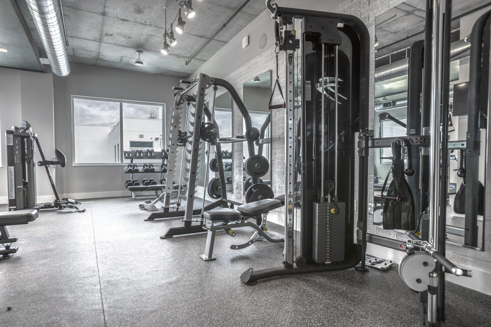 Vantage St. Pete Apartment Fitness Center with Weights