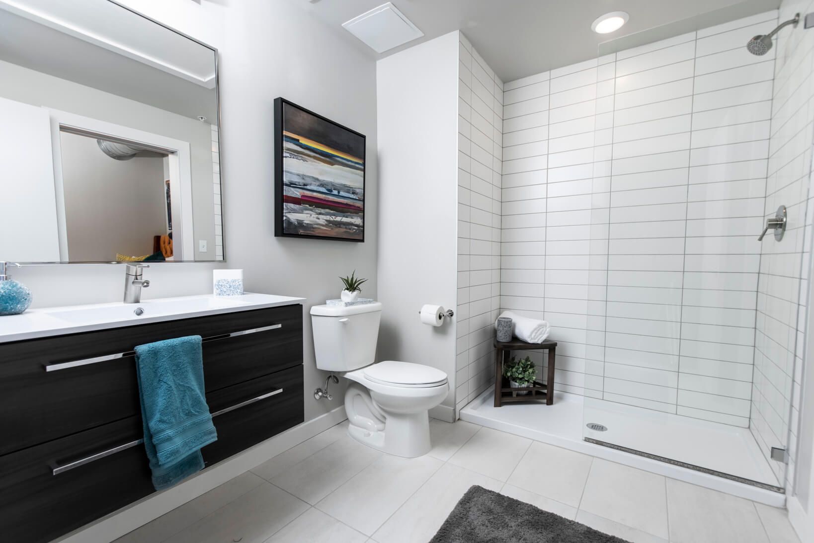 Vantage St. Pete Apartment Bathroom