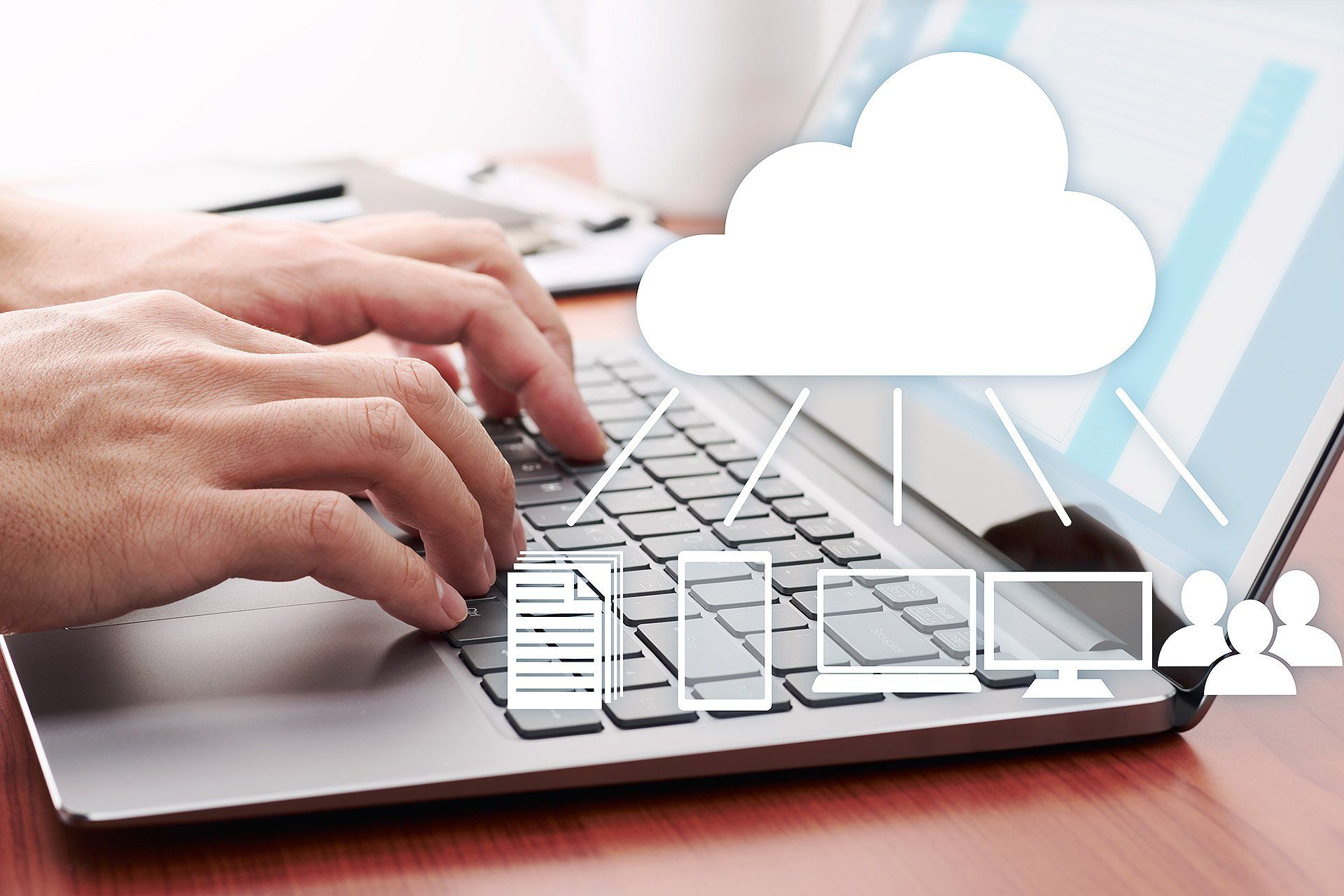 Rappresentazione di un software per la gestione dati