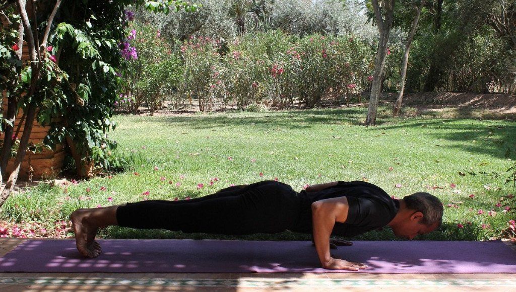 Arm Sequence Chaturanga