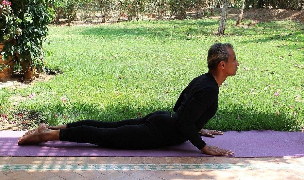 Arm Sequence Cobra