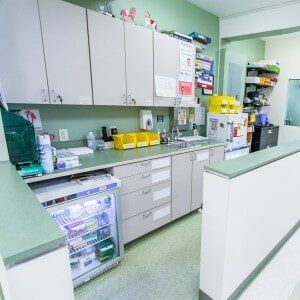 Medical Supplies for our Practice - Affordable Medical Care in Elmhurst, NY Medical Supplies for our Practice - Affordable Medical Care in Elmhurst, NY